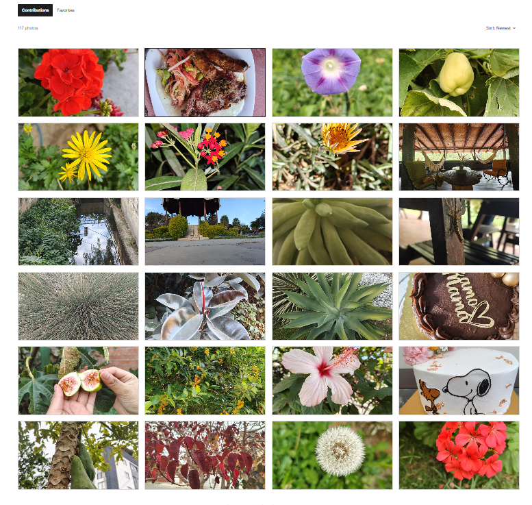 Aporte Visual al Equipo de Fotografía